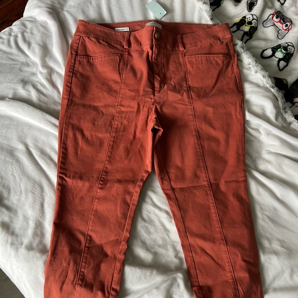 LOFT Dress Pants (Petite Size 14)